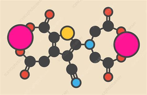 Strontium ranelate molecule - Stock Image - F013/0741 - Science Photo ...