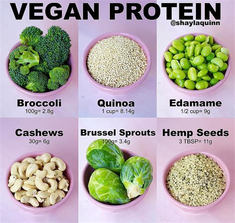 Pin by Kira Wiens on Food | Vegan protein sources, Vegan protein, Healthy