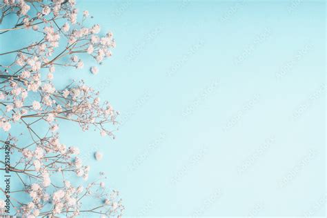 Light blue floral background with white Gypsophila flowers and copy ...