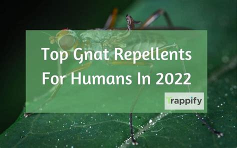 Best Gnat Repellent For Humans In 2022 - Trappify