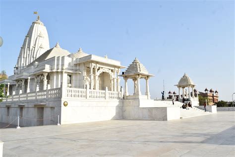 Birla Mandir Temple - Tree Of Life