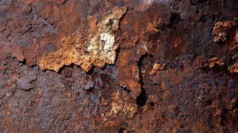 What to Do if you See Water Corrosion or Rust in Electrical Panel