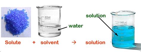 what is a solution solvent and solute - DriverLayer Search Engine