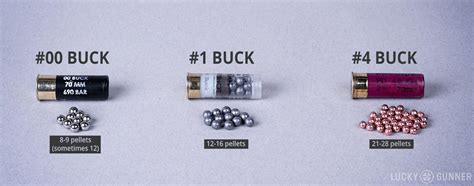 Buckshot Sizes & More Shotgun Stuff You Should Know