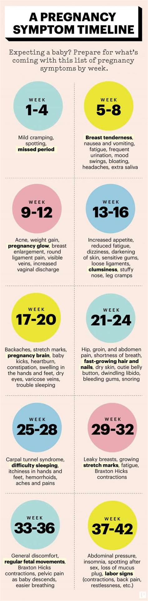 Stages Of Pregnancy Week By Week Symptoms