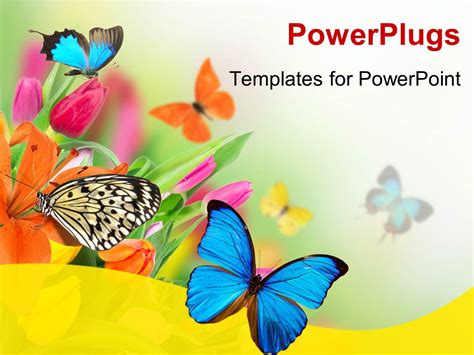 PowerPoint Template: Spring flowers with exotic butterflies (27212)