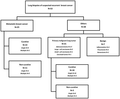 Significance of lung biopsy for the definitive diagnosis of lung ...