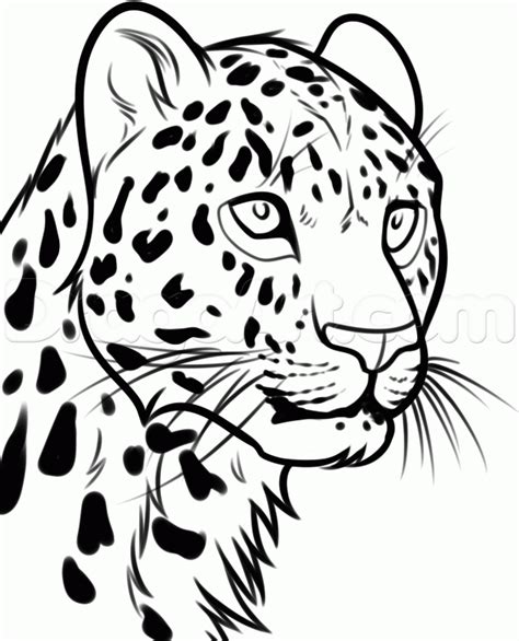 Leopard Line Drawing at GetDrawings | Free download