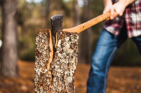 Chopping Wood Pictures | Download Free Images on Unsplash