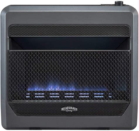 Bluegrass Living Propane Gas Vent Free Blue Flame Gas Space Heater With ...