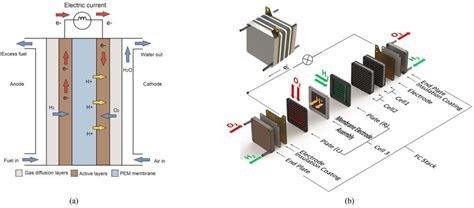 Schematic diagram of PEMFC stack and operating principle: (a) operating ...