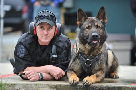 20 Things You Didn't Know About Police Dogs