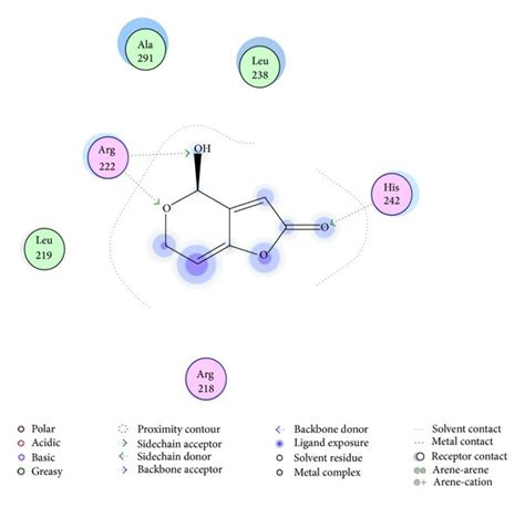 (a) The interaction mode between patulin and HAS. (b) A projection of ...