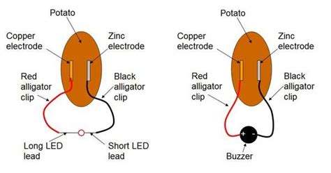 How to Turn a Potato Into a Battery | Science Project | Potato battery ...