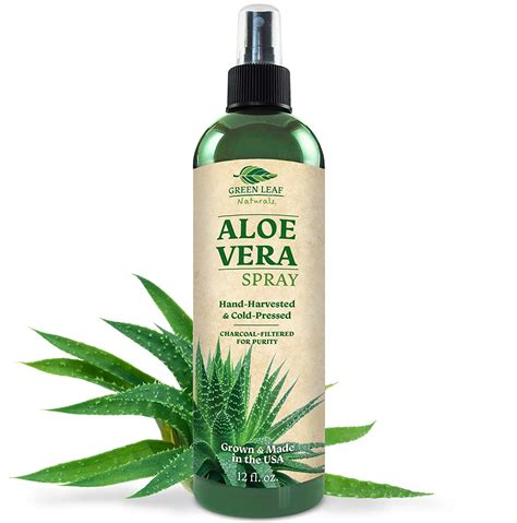 10 Best Aloe Vera Products for Hair Growth [ 2021 ] - Live Beauty Health