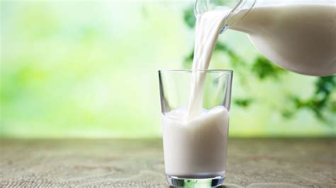 The truth about drinking raw milk - BBC Reel