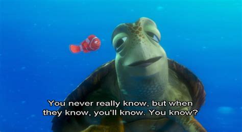 finding nemo, quote, quotes, turtle, turtles - image #56244 on Favim.com