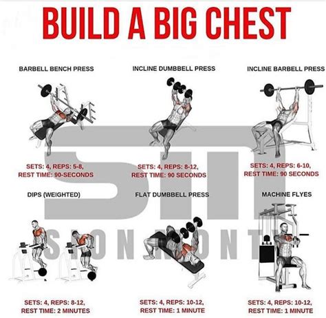 Ultimate Infotek: Best chest workout for mass