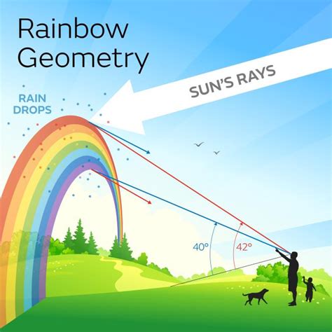 A rainbow is a common atmospheric optical phenomenon . It is a ...