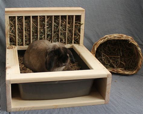 The top 24 Ideas About Diy Guinea Pig Hay Rack - Home, Family, Style ...