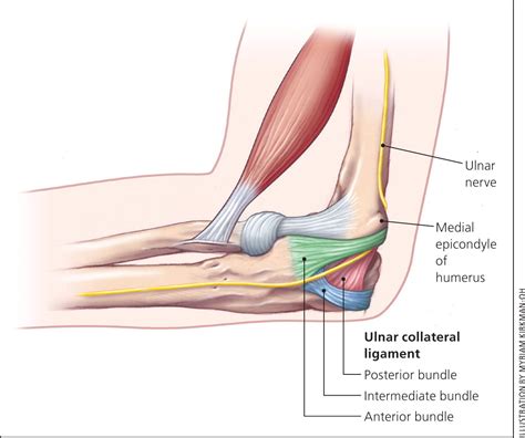 Bone Clinic & Neurosurgeon 24 Hours Hotline: +65 66532625 Inflammation ...