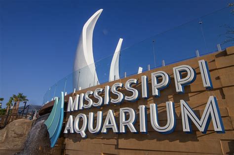 Mississippi Aquarium (Gulfport) - All You Need to Know BEFORE You Go