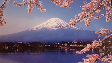 Mt Fuji Drawings - Mount Fuji, Cherry Blossom, Lake Kawaguchi | Dozorisozo