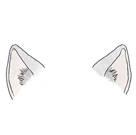 How to Draw Cat Ears - Easy Drawing Tutorial For Kids