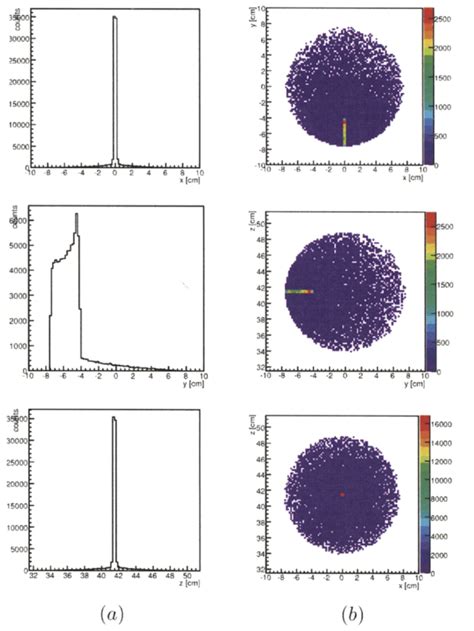 Emission patterns of all gamma rays which escaped from the phantom ...