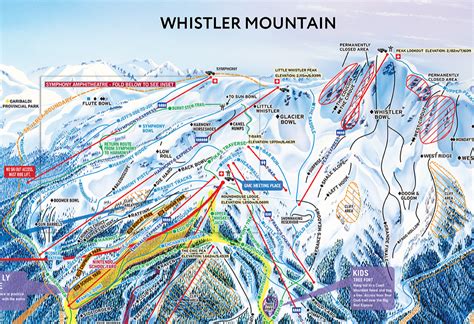 Whistler Ski Run Topographic Map - Dennis Tsang