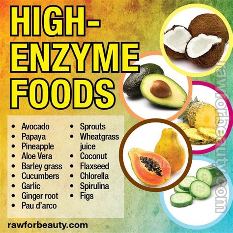 Enzymes: Why do we need them to stay healthy? - AAI Clinics