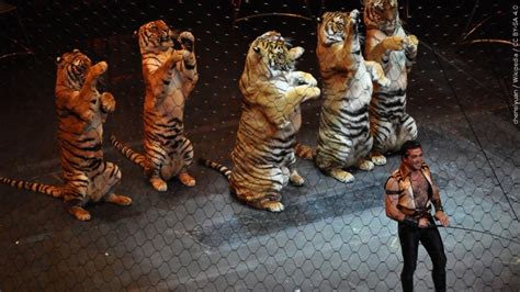 Ringling Bros. circus returning without animals - WWAYTV3