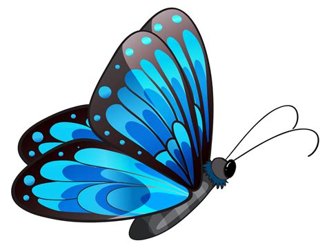 Free Butterfly Png Transparent, Download Free Butterfly Png Transparent ...