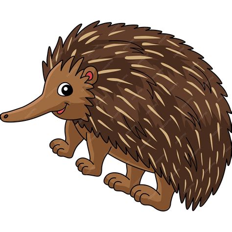 Echidna Clipart