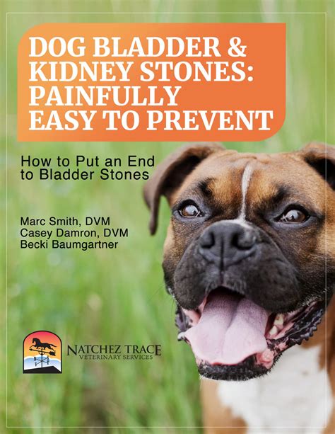 Free Dog Kidney Stone Ebook - Help Your Dog Feel Better Today!