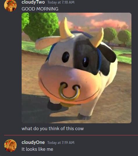 it looks like me | Moo Moo Meadows Cow | Know Your Meme