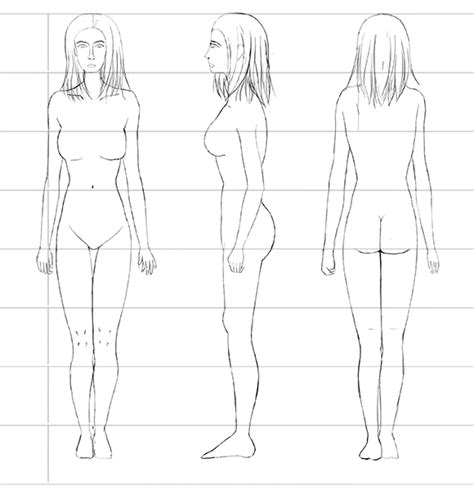 The Female Human Body Proportions – How To Get Them Right Using the ...