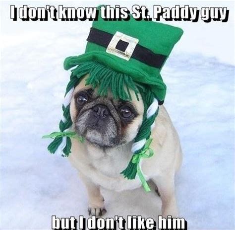 a small pug dog wearing a green hat and scarf with the caption, i don't ...