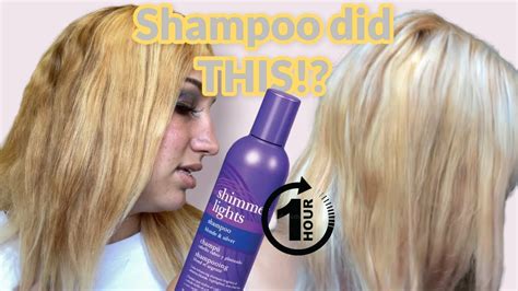 Clairol Shimmer Lights Purple Shampoo Before And After | Shelly Lighting