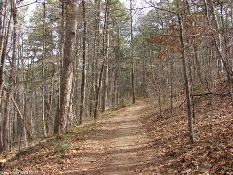 Spring is Budding and Blossoming on the Hot Springs Trails | Hike Our ...