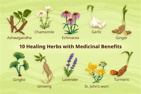 Unlock the Healing Secrets of Ancient Herbs: Discoveries That Will ...