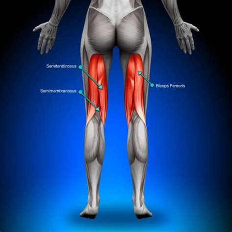 Hamstring Injury : Risks of Early Return to Sports – Howard J. Luks, MD