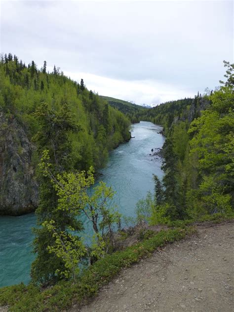 Easy hike offers gorgeous Kenai River views - Anchorage Daily News