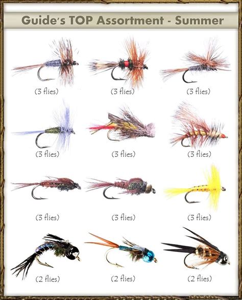 Fly Fishing Flies Identification Chart: A Comprehensive Guide For ...