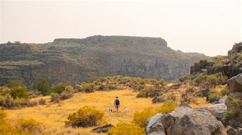 Hiking - Snake River Canyons Park