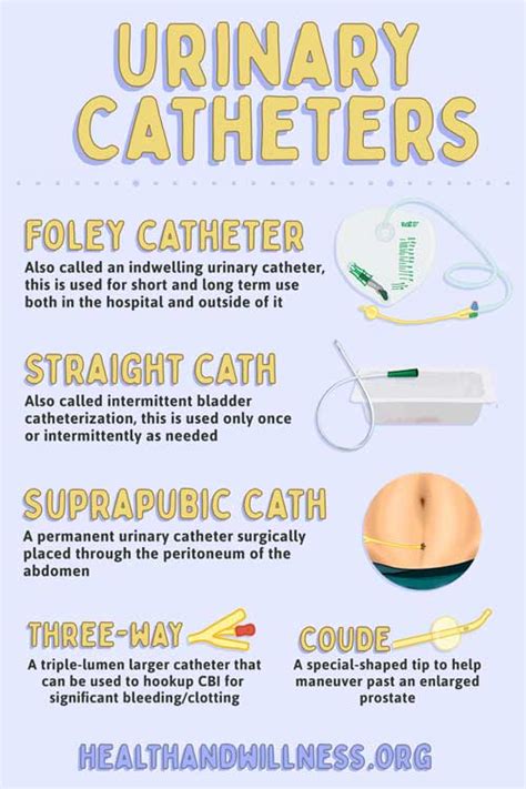 Urinary Catheter Types And Sizes And How To Choose, 55% OFF