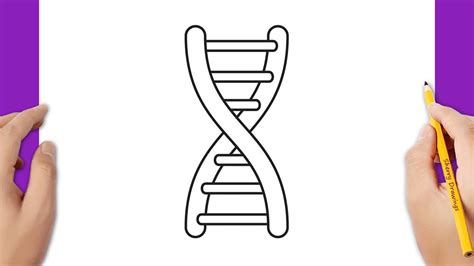 How to draw DNA