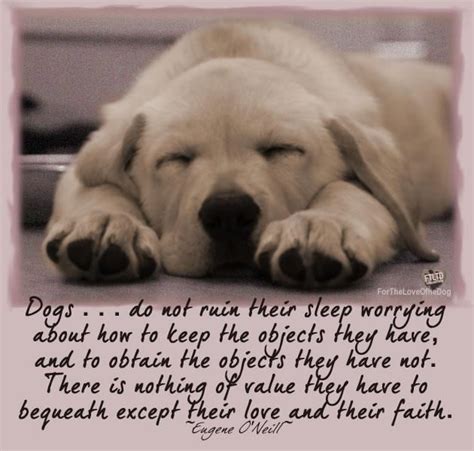 Quotes About Sleeping Dogs. QuotesGram