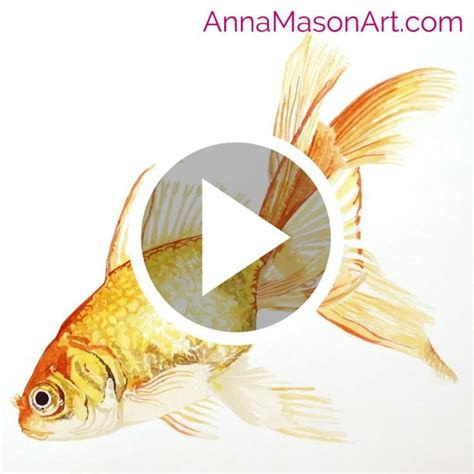 How to paint a Goldfish in watercolour [Video] in 2021 | Watercolor ...