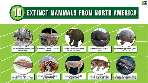 Pleistocene Animals